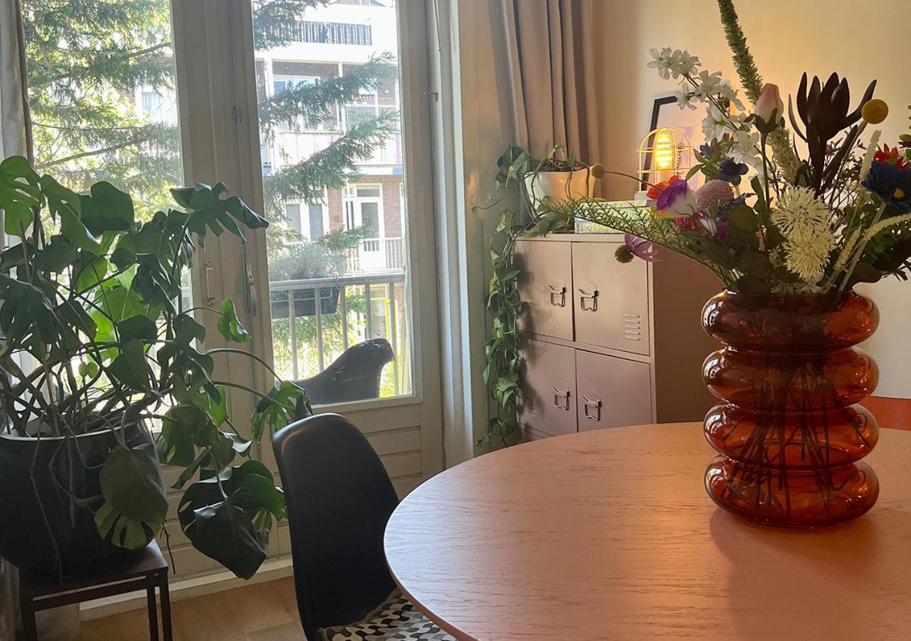 Modern And Light In Amsterdam-west *