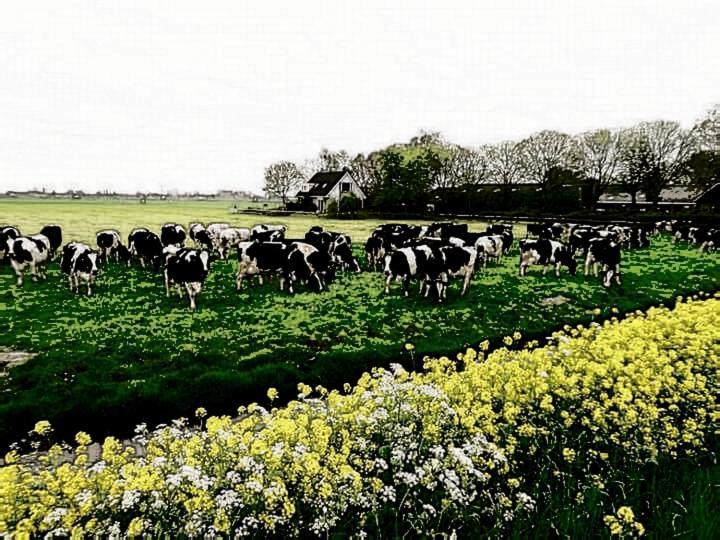 Farmer Farmyard Stays, Sleep Easy, Rural, Explore Campsite