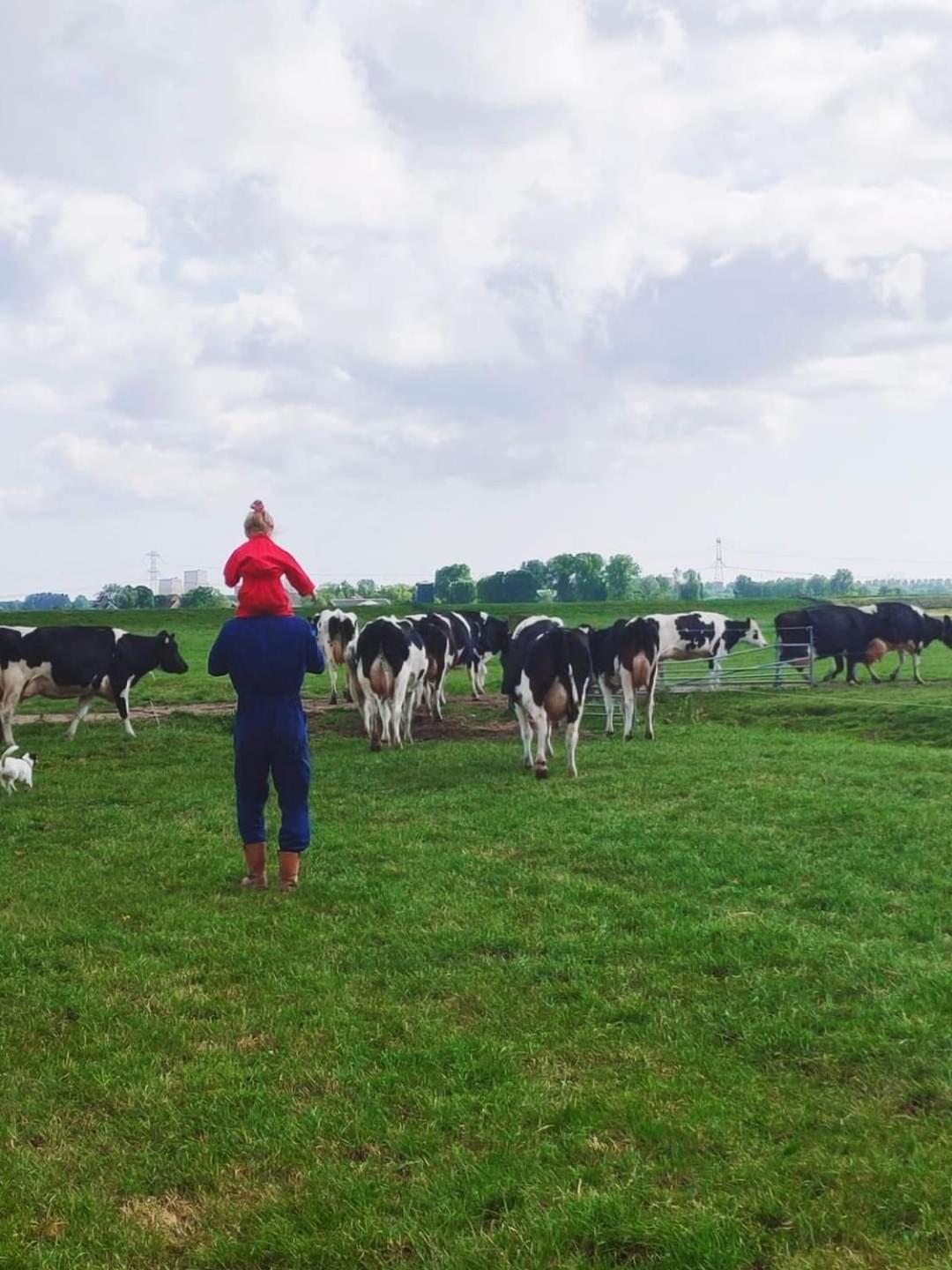 Farmer Farmyard Stays, Sleep Easy, Rural, Explore Campsite *