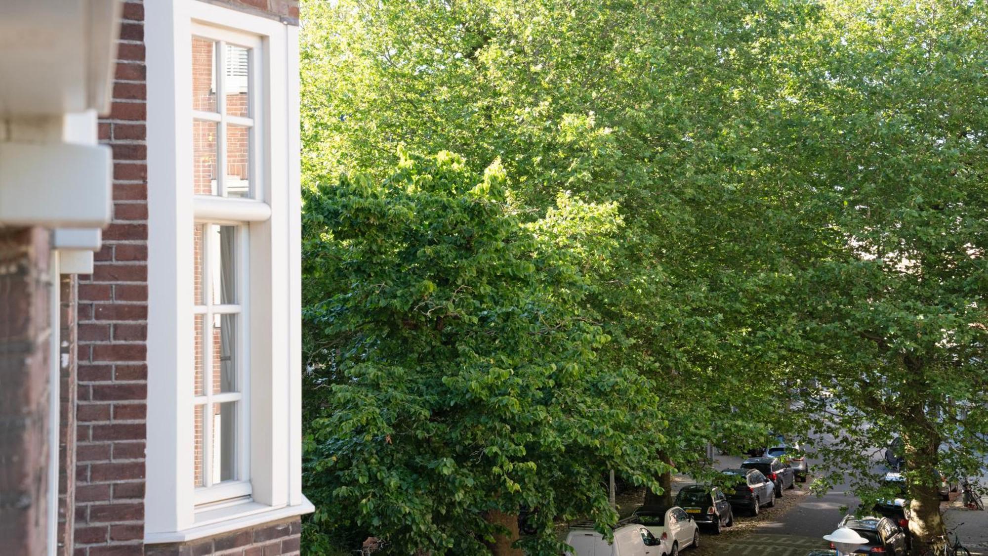 Authentic Rai Apartment