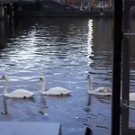 Houseboat Little Amstel
