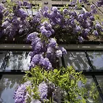 B&B Bloemgracht