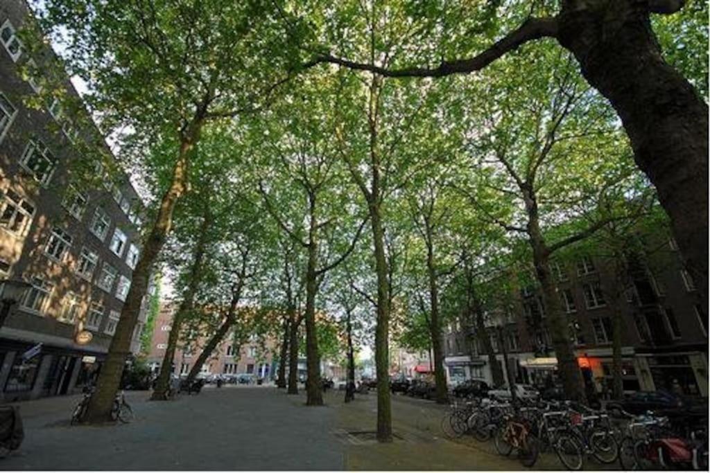 The Little Townhouse Amsterdam