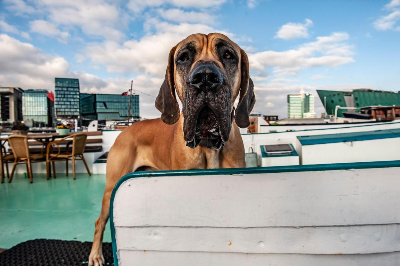 Hotelboat *