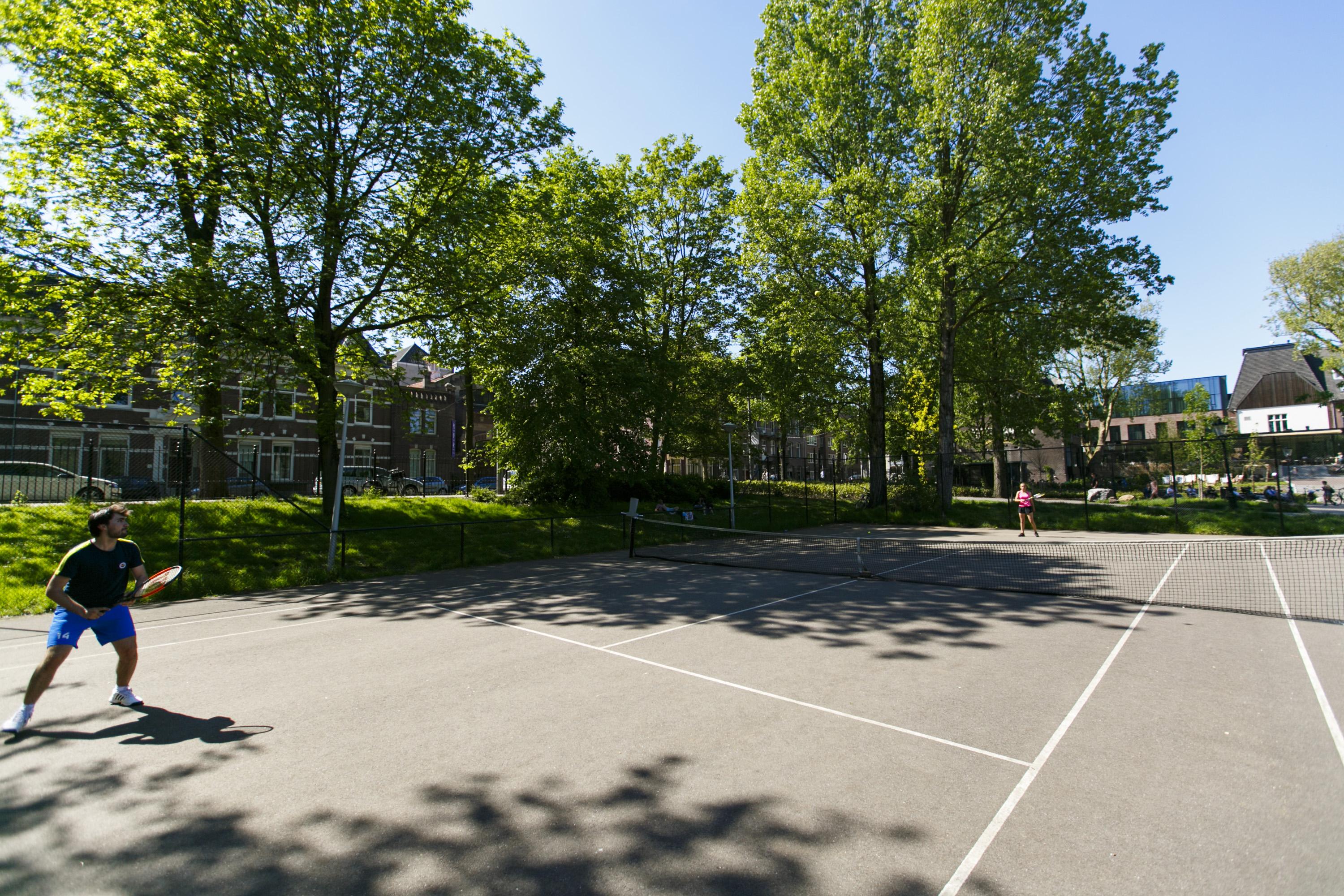 Arena
