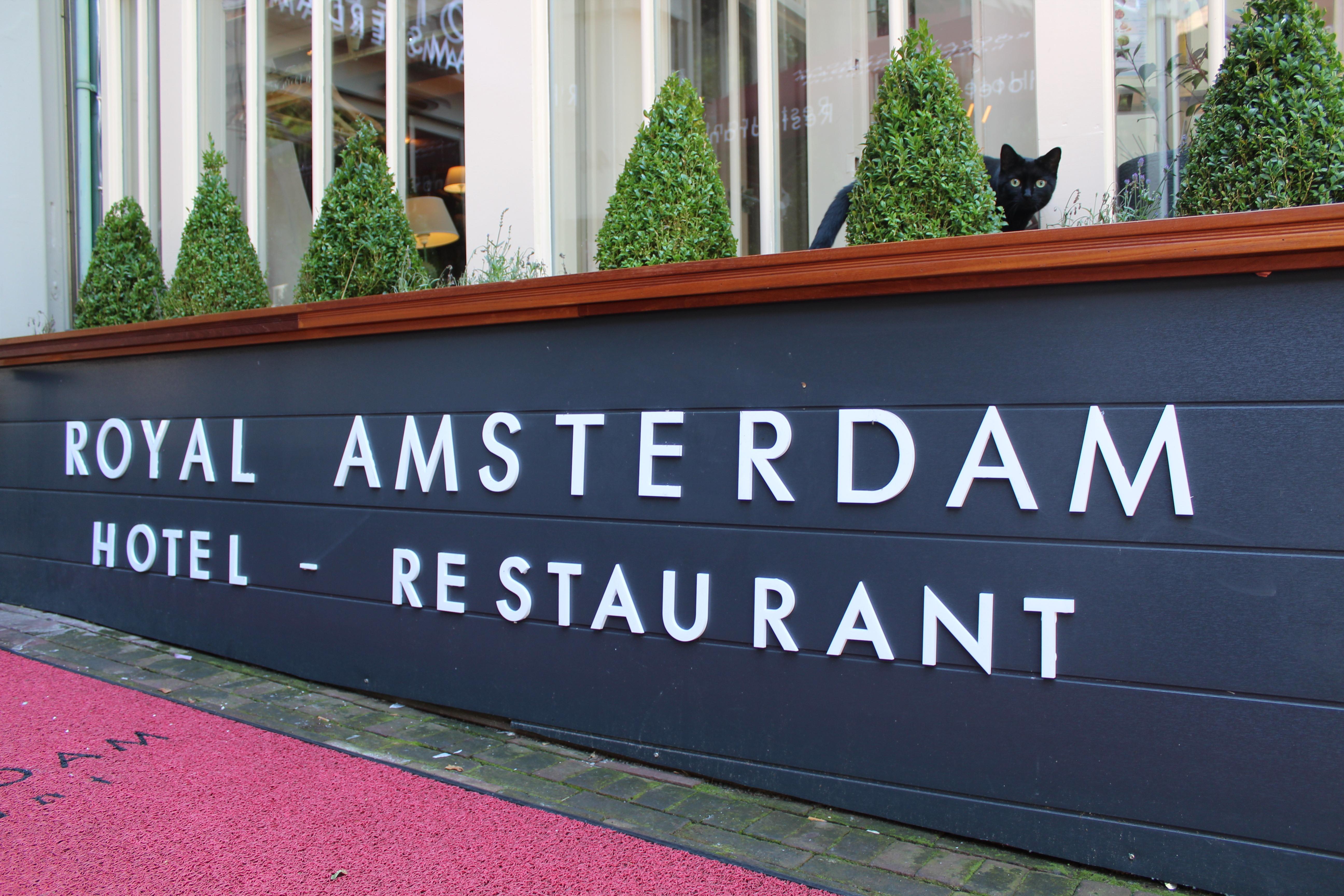Hotel Royal