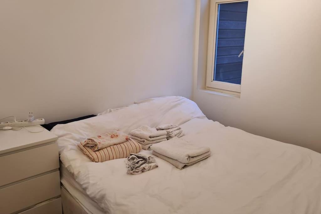 Appartement Groot Mooi 2 Etage Loft Met Dakterras In De Pijp. Amsterdam