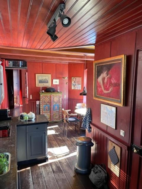 Houseboat Amstel River Botel Amsterdam