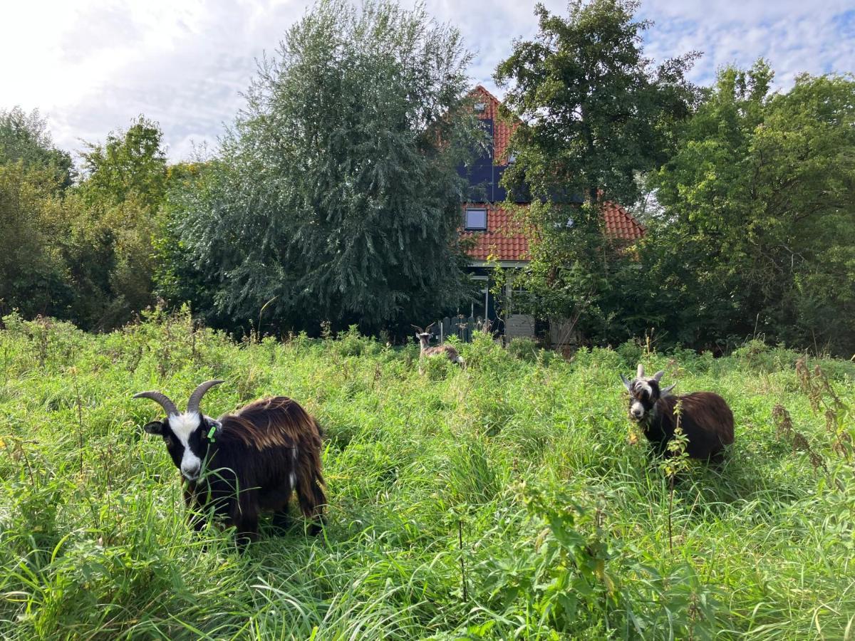 Aparthotel Het Nest *