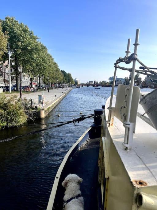 Houseboat In * Amsterdam
