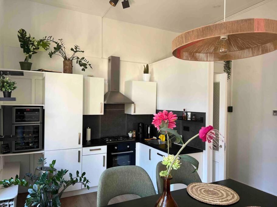 Vondelpark Luxury Apartment Amsterdam