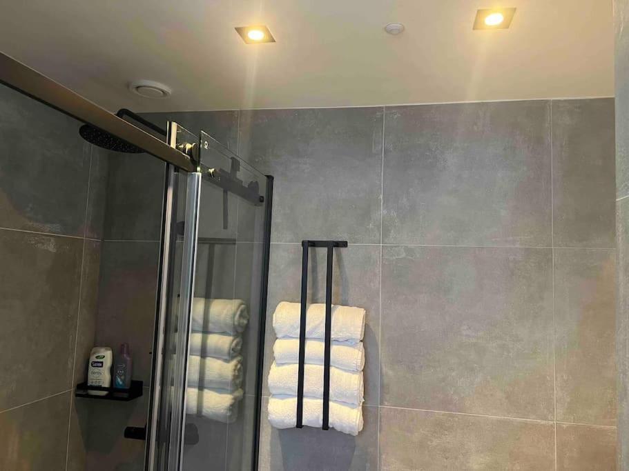 Vondelpark Luxury Apartment Amsterdam