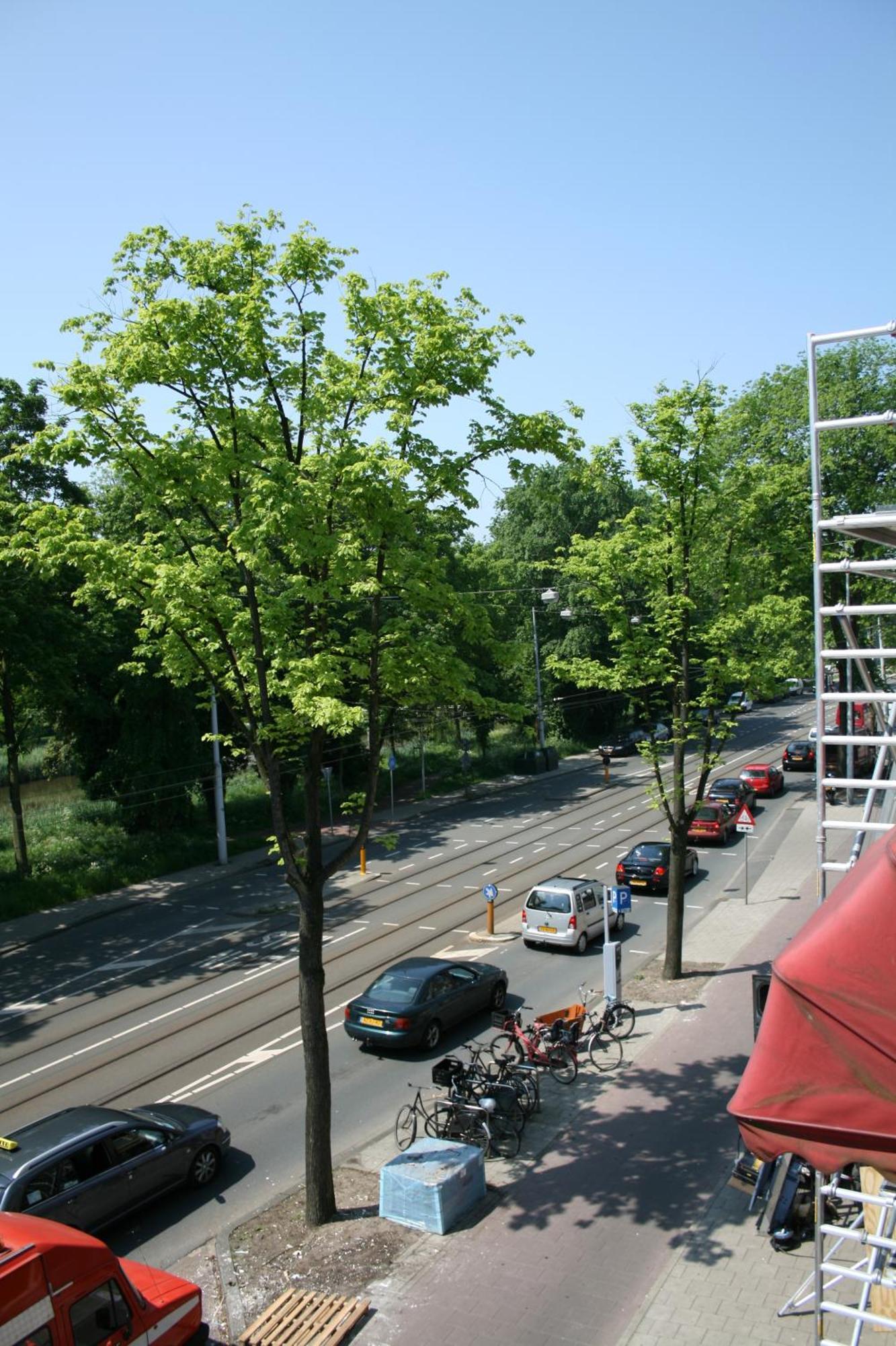 Frankendael