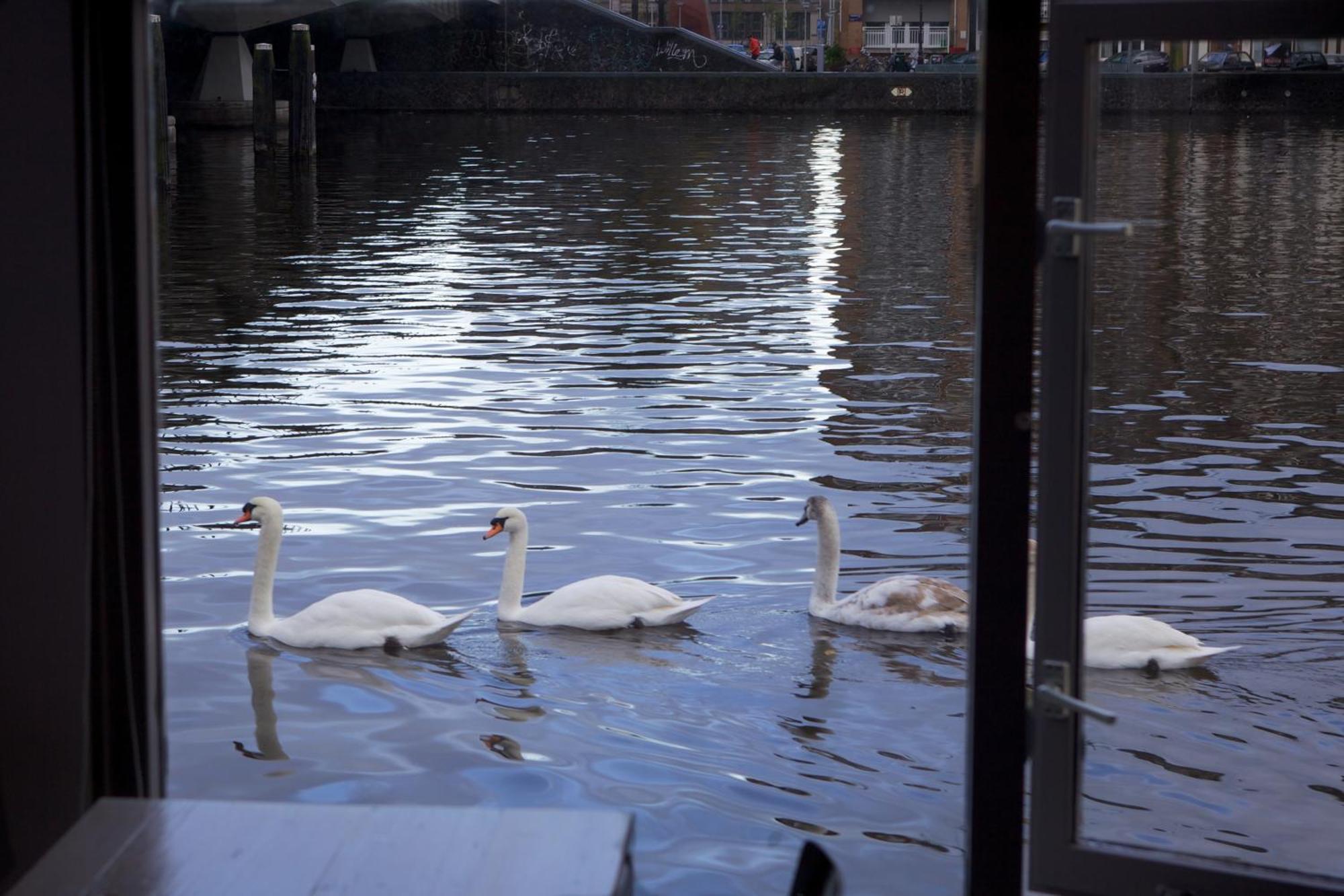 Botel Houseboat Little Amstel *