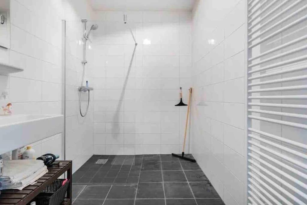 Apartment Large And Spacious 4-bedroom With Roofterras