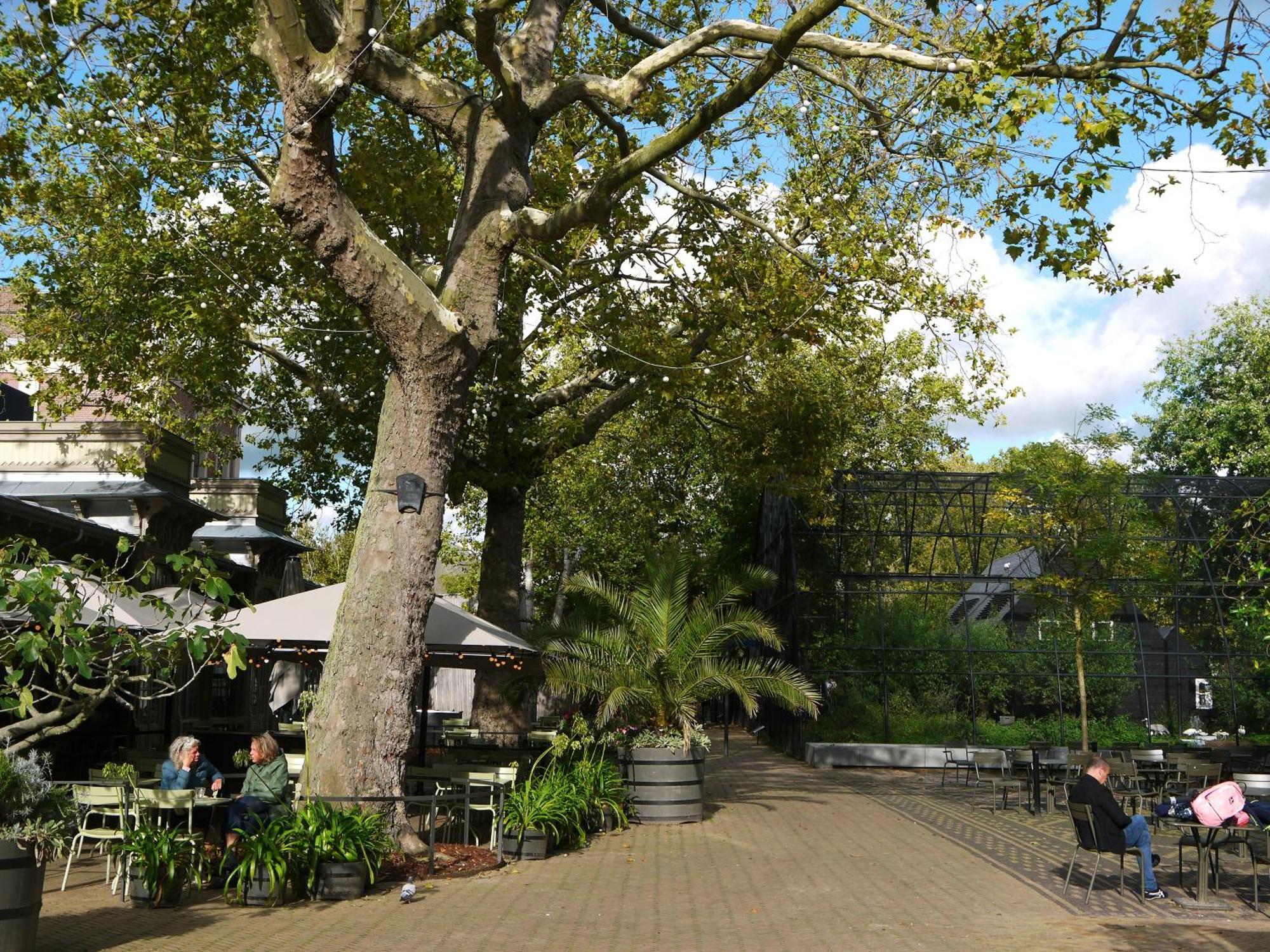 De Jonker Urban Studios&suites Hotel