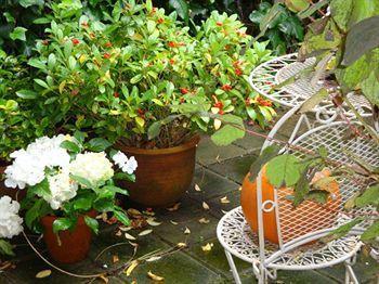 Bed And Breakfast Amsterdam Amsterdam