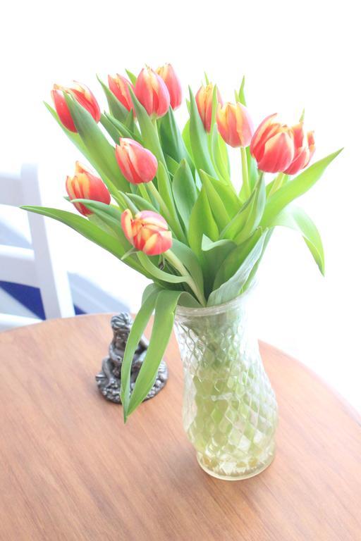 Bed & Breakfast Tulip Of 3*