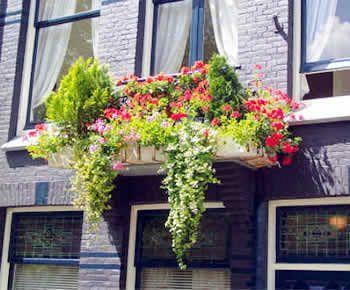 Hotel Bed And Breakfast Amsterdam Amsterdam