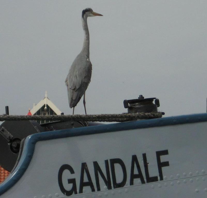 Hotel Hotelschip Gandalf