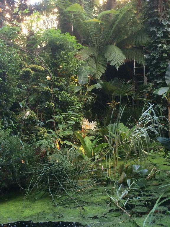 Garden Centre