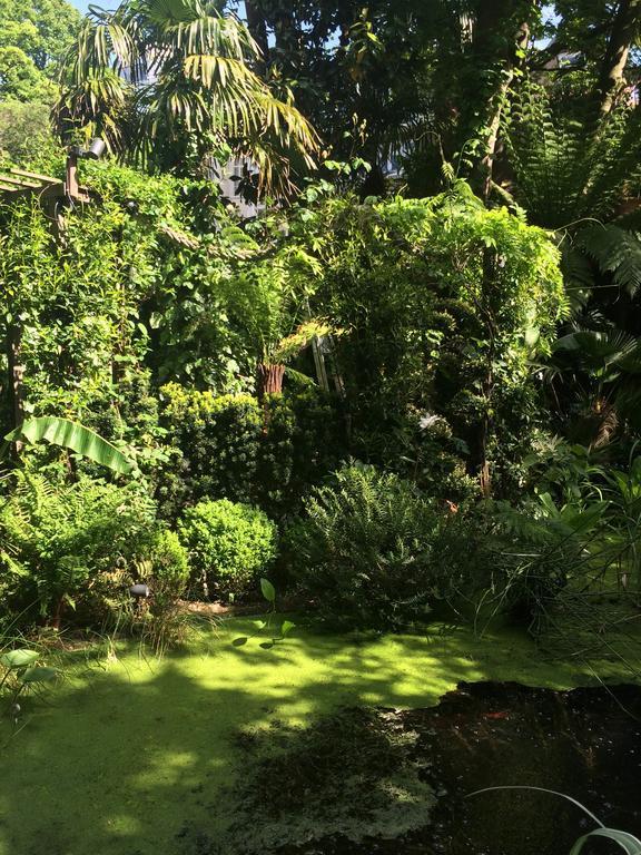 Garden Centre 3*