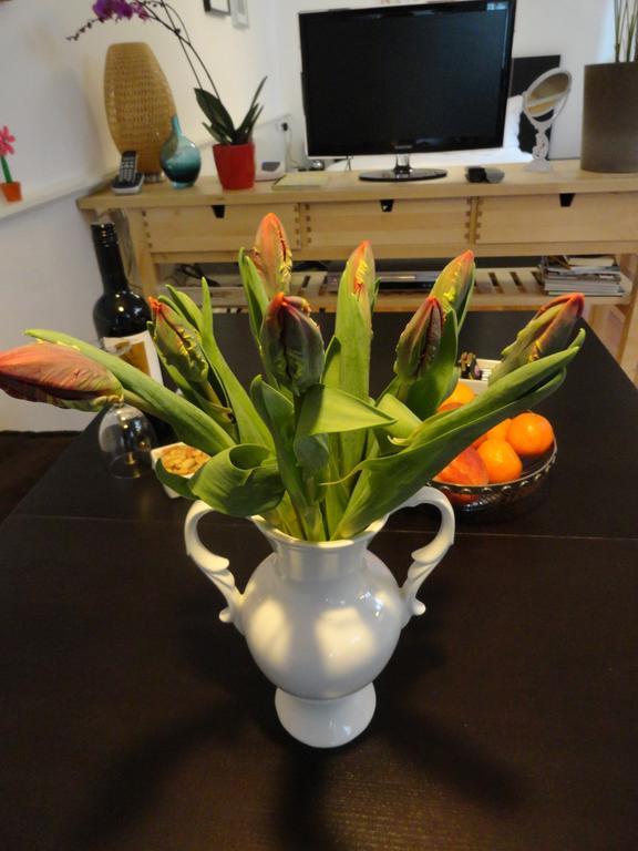Apartment Amphora *