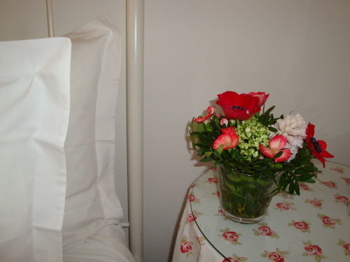 Hotel Bed And Breakfast Amsterdam