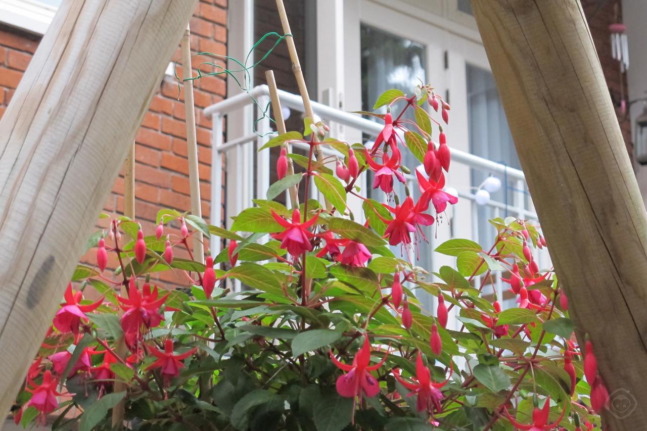 Bed & Breakfast West 3*