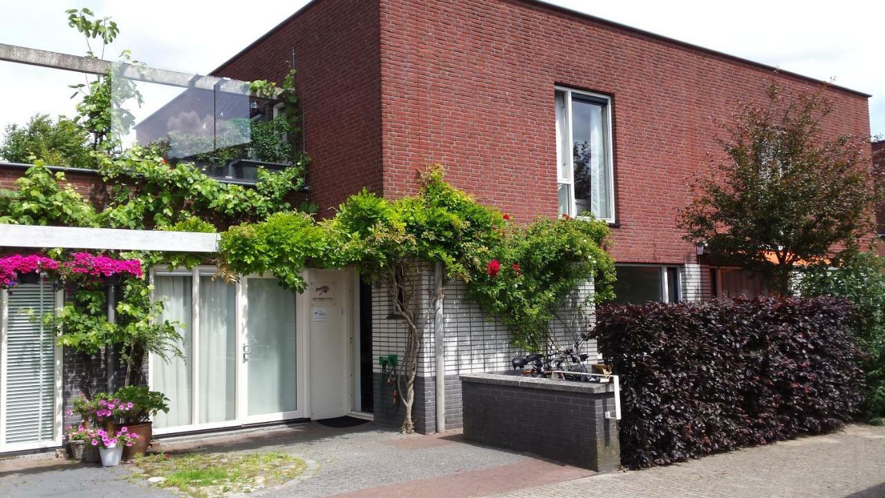 Royale En Schone Met Dakterras