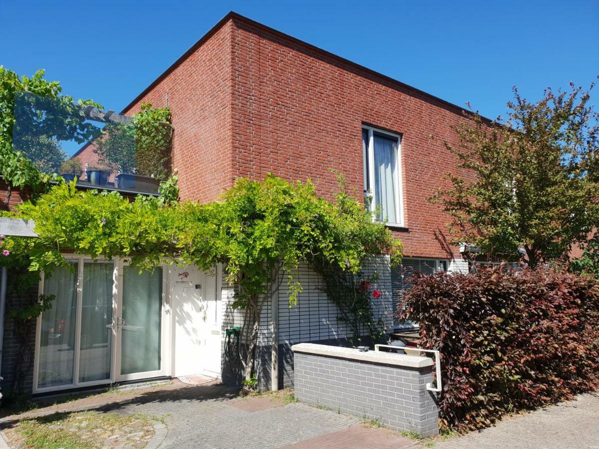 Royale En Schone Met Dakterras Accommodatie bij particulieren Amsterdam