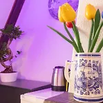 Tulip Of Amsterdam