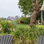 Bed&Stay Amsterdam