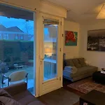 Cosy Amsterdam