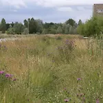Private Eco Wooden Studio With Bath And Bikes And Garden