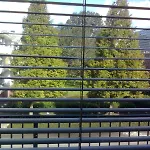 Studio 99