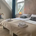 Garden View Studio