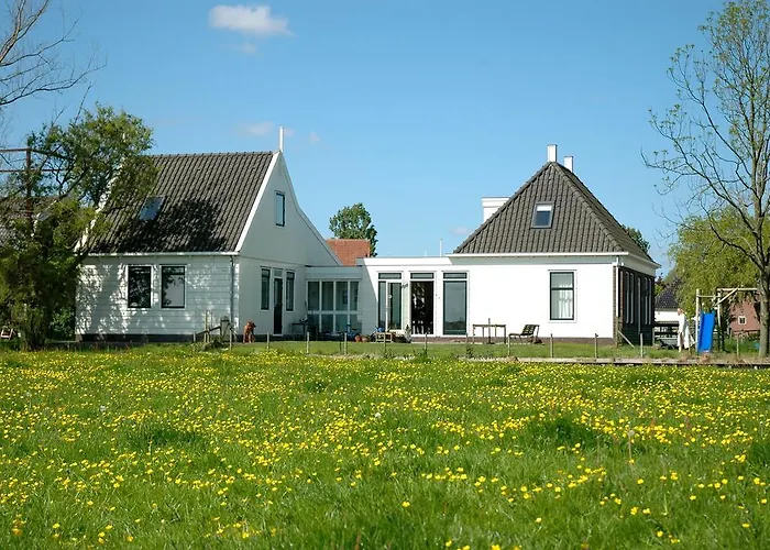 Amsterdam Farmland