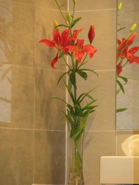 Bed & Breakfast Prinsenstede Amsterdam