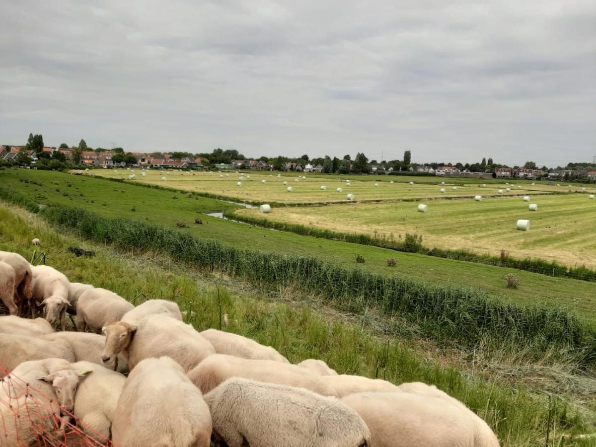 Bed & Breakfast Tulp Noord