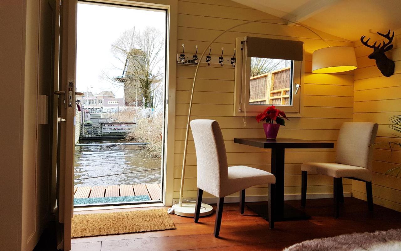 Lior Amsterdam