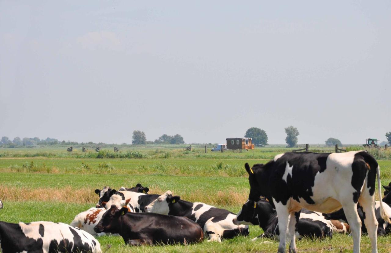 Your Waggon At The Cow's Paradise Bed & Breakfast