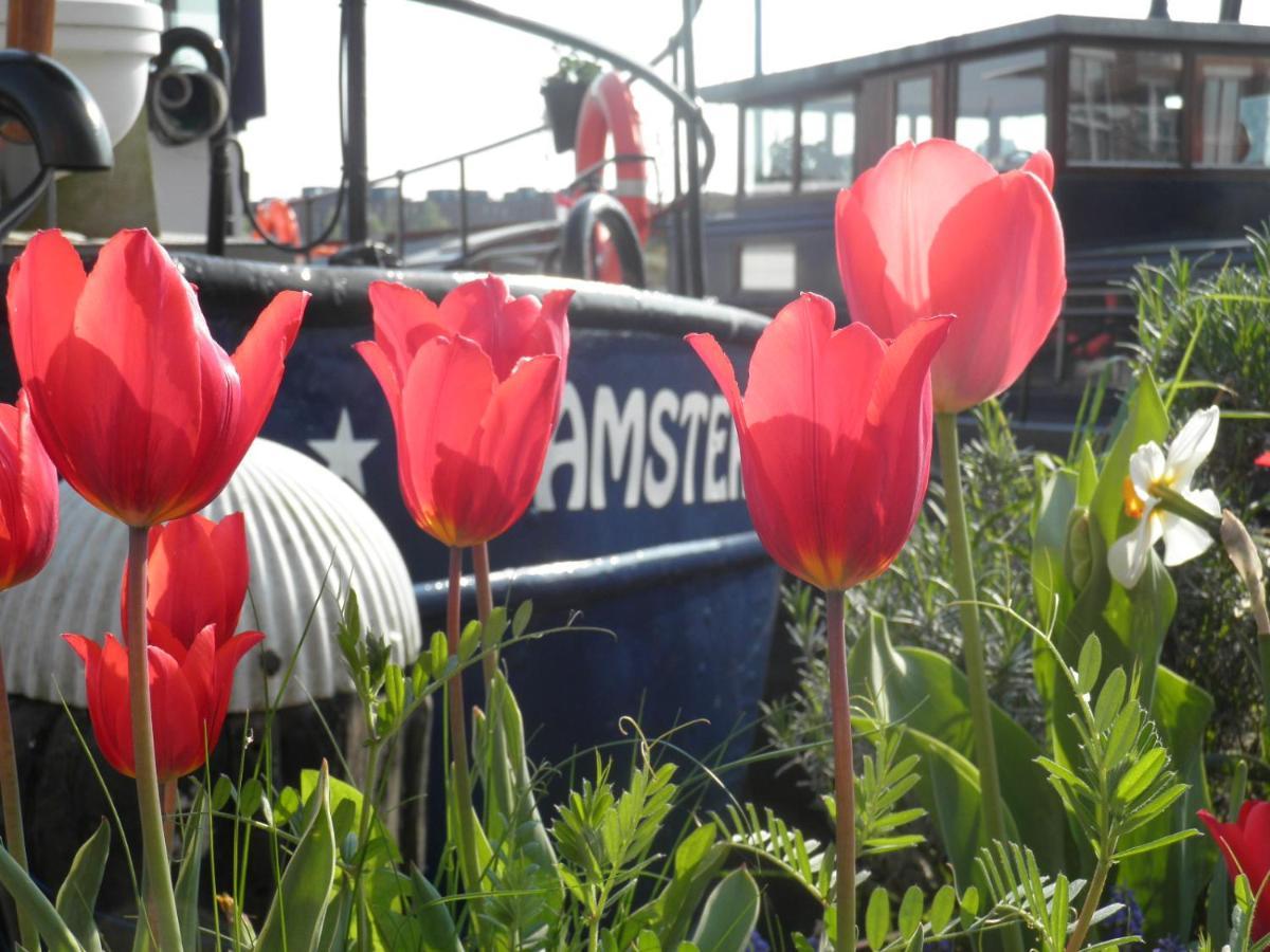 Bed & Breakfast Boat & Breakfast Alhena