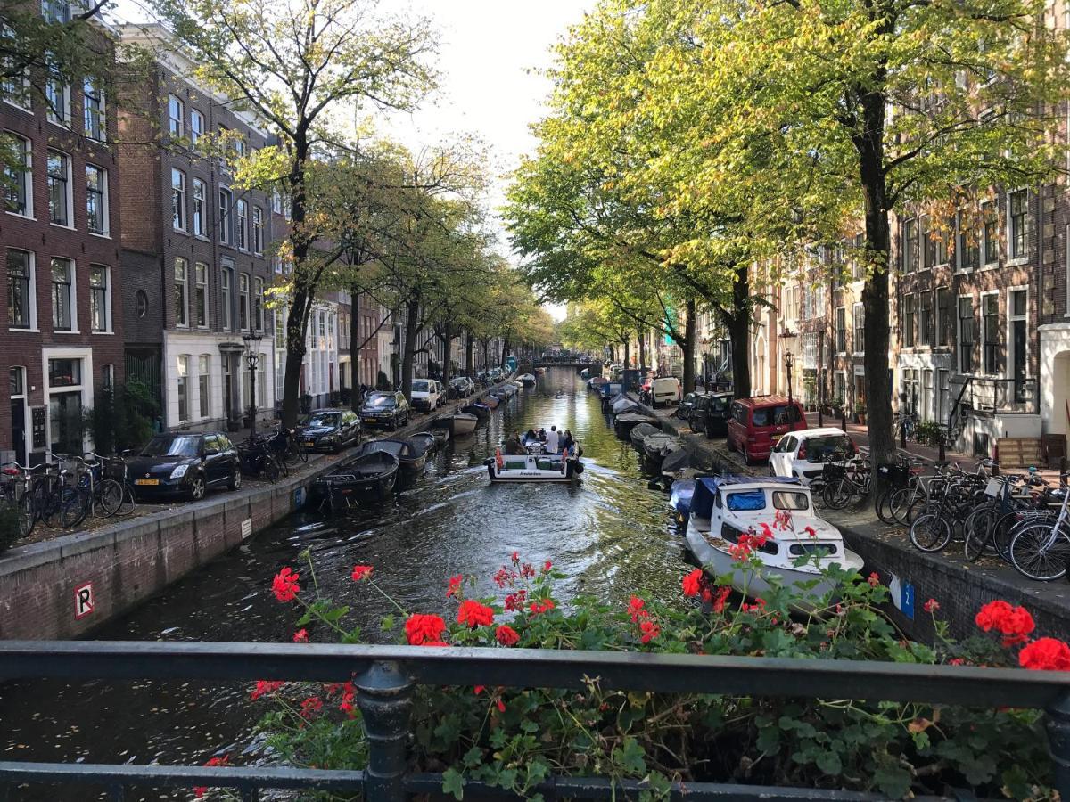 The African Lily Amsterdam