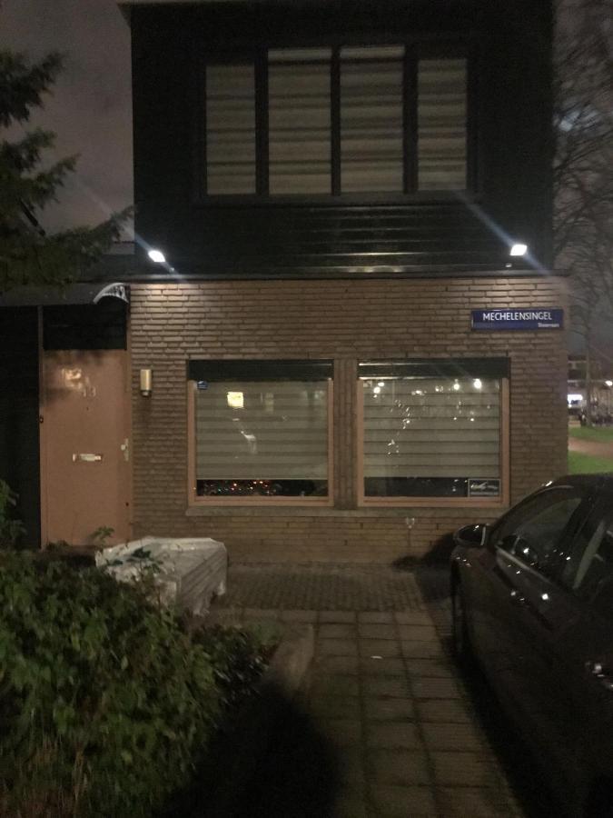 Hababa Short * Amsterdam