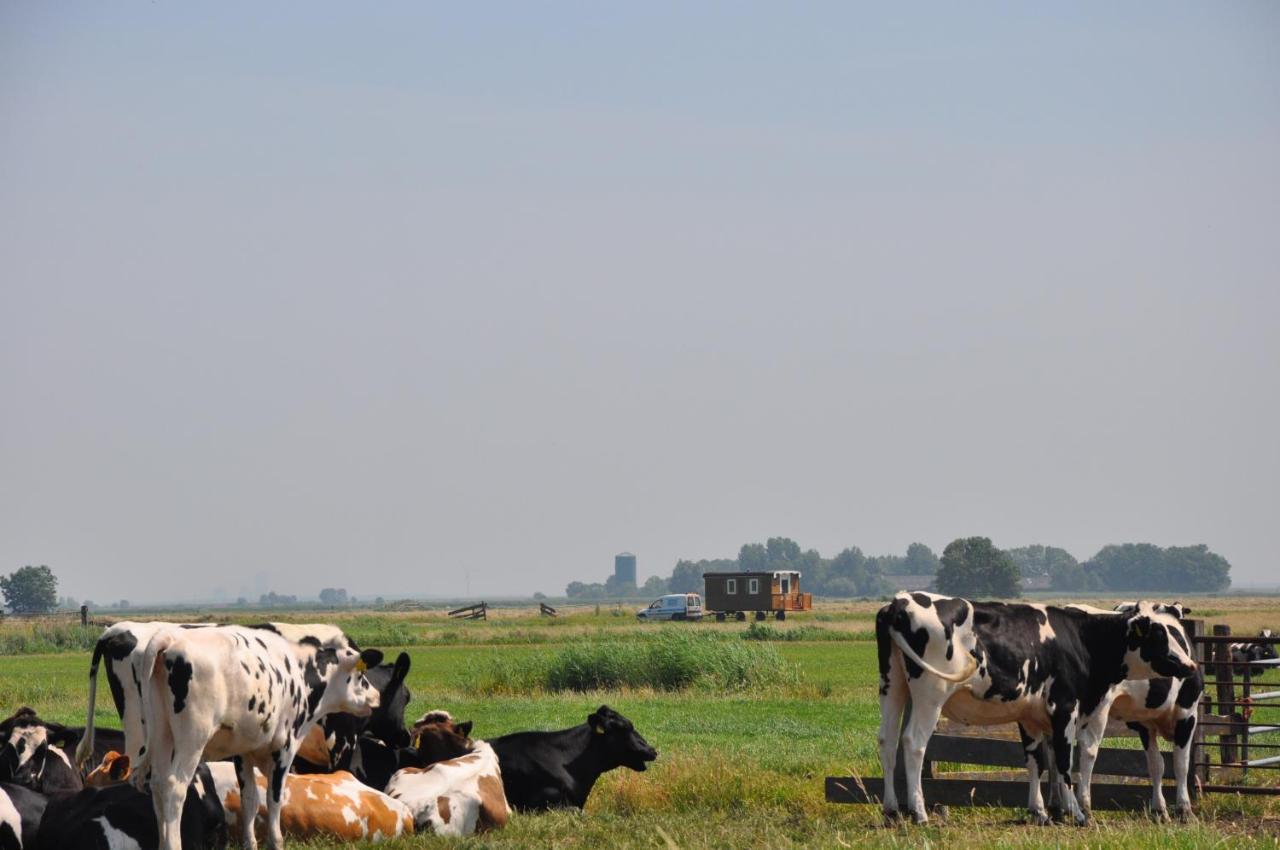 Your Cozy Waggon At The Cows' Paradise *