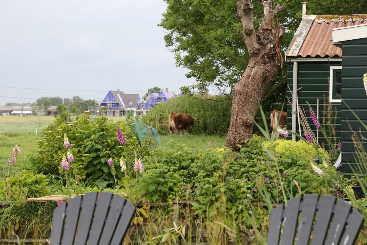 Bed & Breakfast Bed&stay Amsterdam