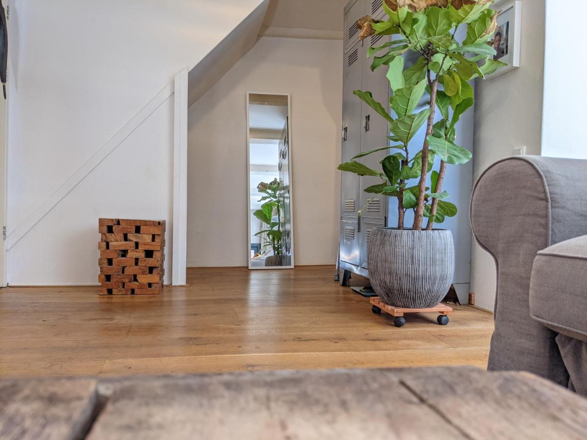 Lanestay Damsquare 2*