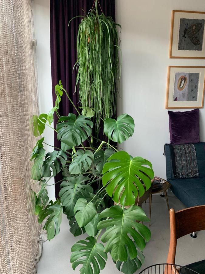 Privatunterkunft Chez Odette - Free Bikes & Private Car Parking Amsterdam