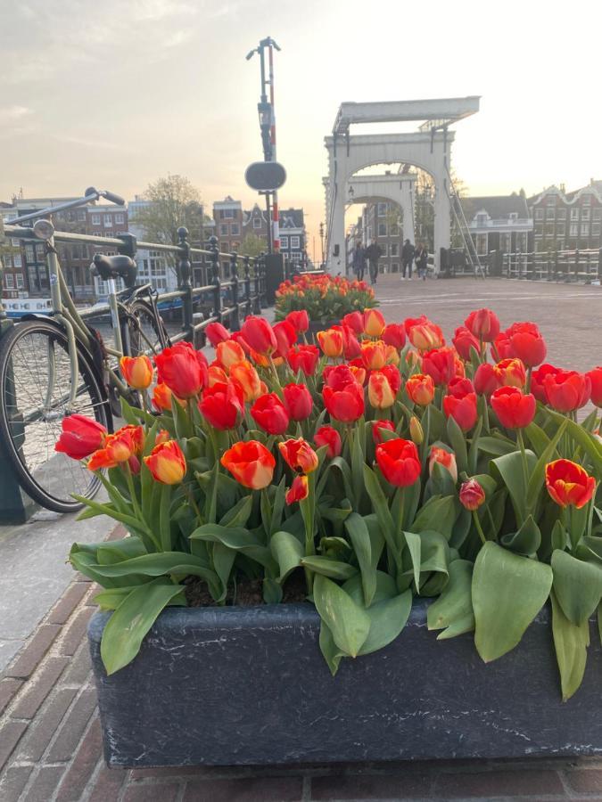 Bed & Breakfast Amstel Boutique Amsterdam